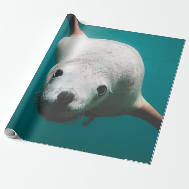 Papel De Regalo Hermoso león marino (Desenrollado)