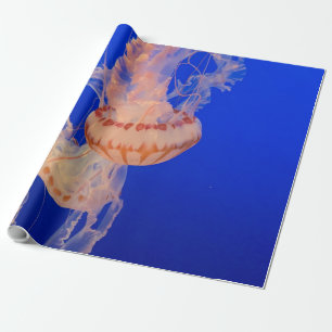 Papel De Regalo Hermoso paisaje marino