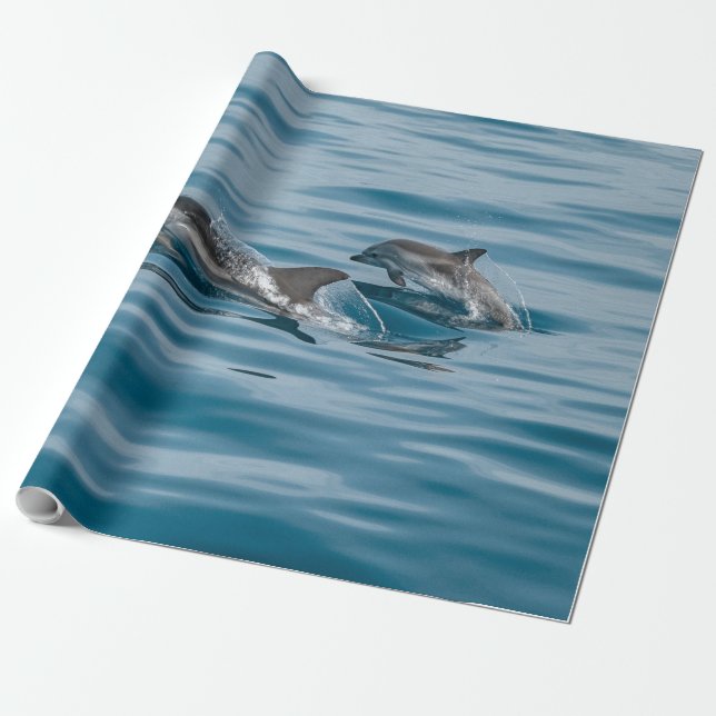 Papel De Regalo Hermosos delfines acuáticos (Desenrollado)