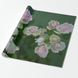 Papel De Regalo Hermosos rosas de jardín rosa claro