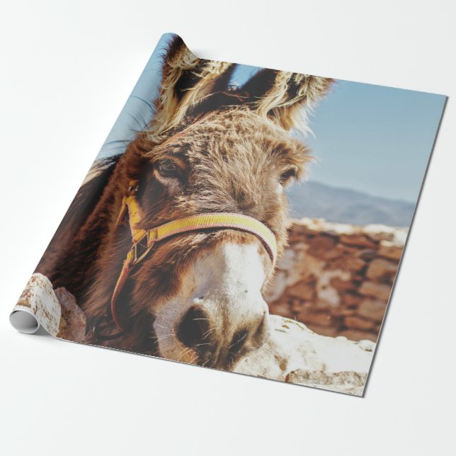 PAPEL DE REGALO HI DONKEY (Desenrollado)