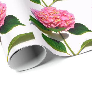 Papel De Regalo Hidrangea rosa Flor rosa rosa floral rosa