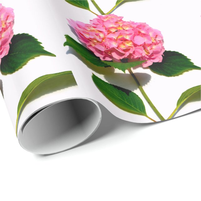 Papel De Regalo Hidrangea rosa Flor rosa rosa floral rosa (Esquina del rollo)