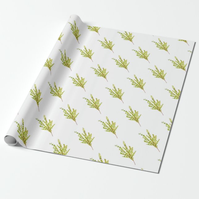 Papel De Regalo Hierbas aromáticas (Desenrollado)