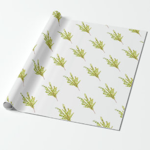 Papel De Regalo Hierbas aromáticas botánicas Cocina acuarela