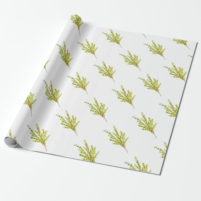 Papel De Regalo Hierbas aromáticas botánicas Cocina acuarela (Desenrollado)