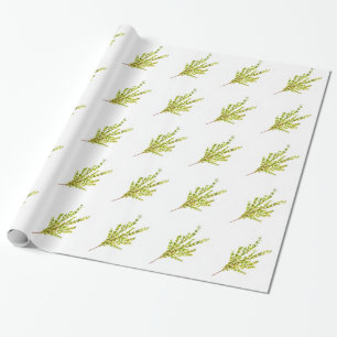 Papel De Regalo Hierbas de tomillo Hierba botánica Acuarela moda r