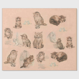 PAPEL DE REGALO HISTORIAS DE GATO DE KITTY DIVERTIDO EN ROSA