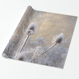 Papel De Regalo Hoarfrost Teasels Foto de invierno Regalo de natur