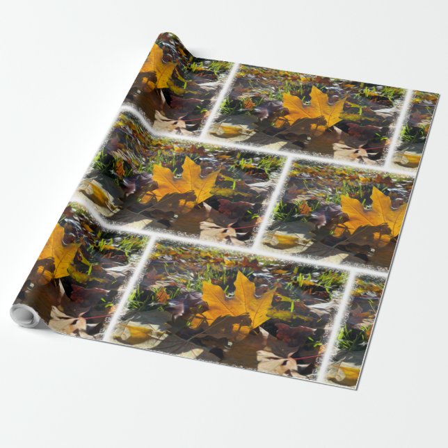 Papel De Regalo Hoja de otoño al sol (Desenrollado)