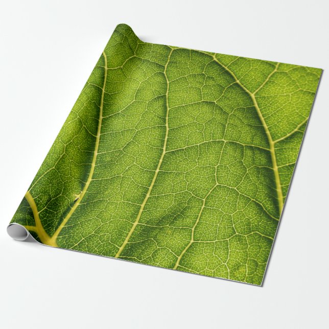 Papel De Regalo Hoja verde (Desenrollado)