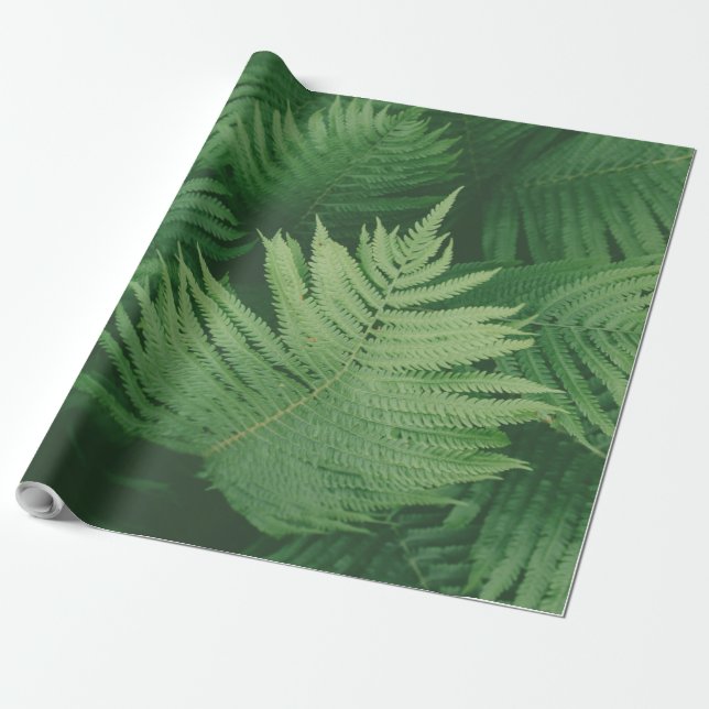 Papel De Regalo Hoja verde (Desenrollado)