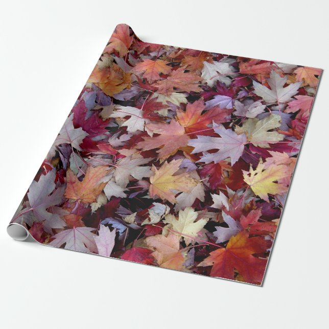 Papel De Regalo Hojas de árboles caídos de otoño (Desenrollado)
