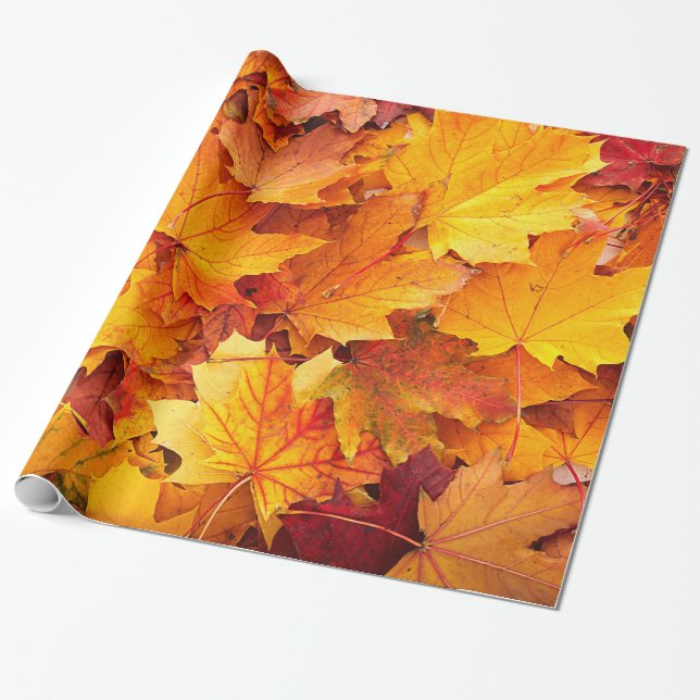 Papel De Regalo Hojas de arce de oro del otoño (Desenrollado)
