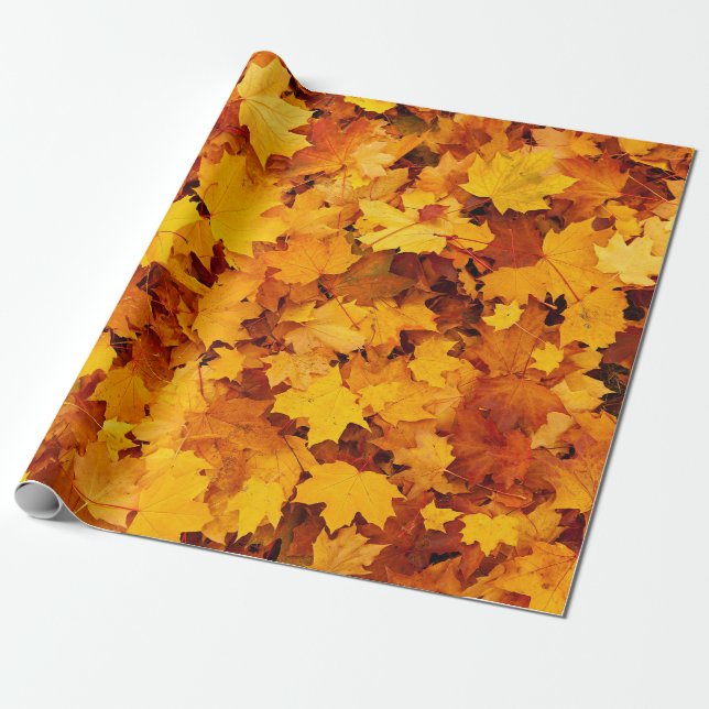 Papel De Regalo Hojas de arce de otoño (Desenrollado)