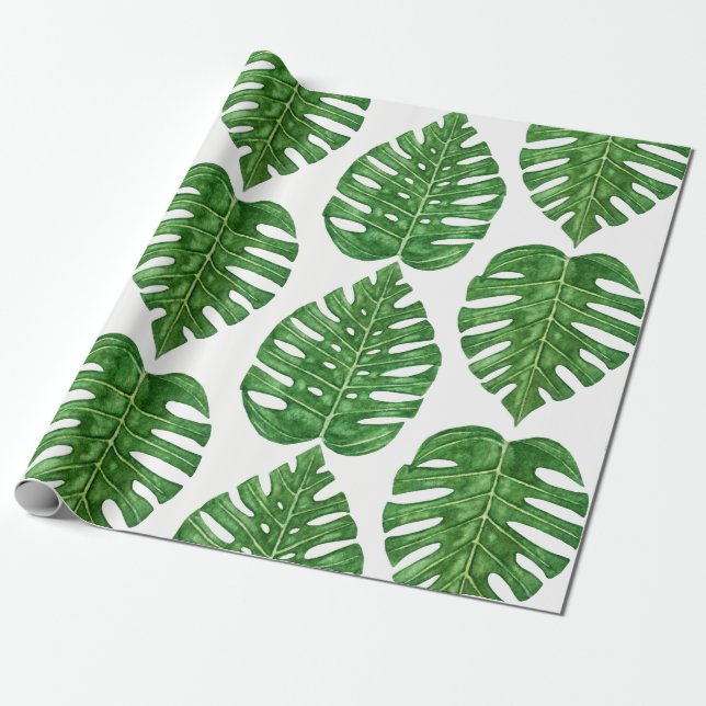 Papel De Regalo Hojas de Monstera de la acuarela (Desenrollado)