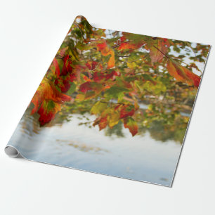Papel De Regalo Hojas giratorias