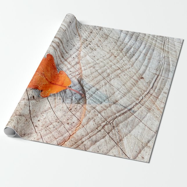 Papel De Regalo Hojas otoñales madera de hoja de roble (Desenrollado)