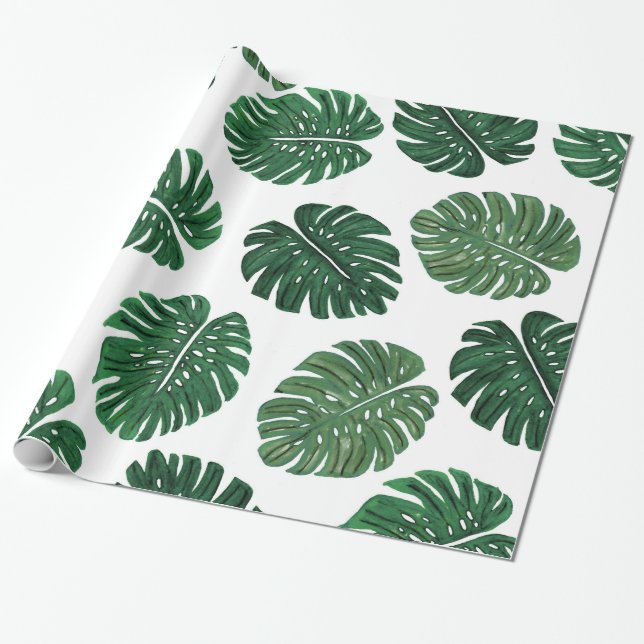 Papel De Regalo Hojas pintadas a mano tropicales de la planta del (Desenrollado)