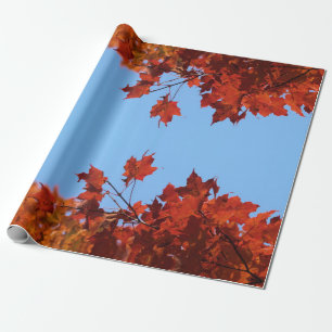 Papel De Regalo Hojas rojas otoñales y cielo azul