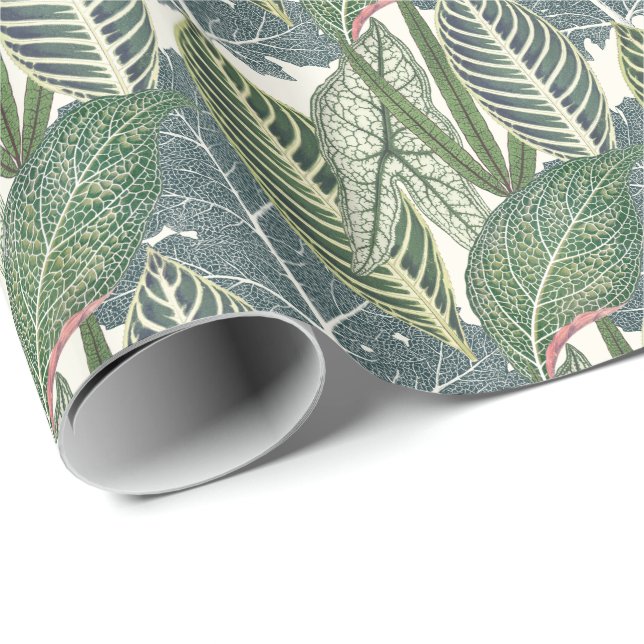 Papel De Regalo Hojas tropicales verdes (Esquina del rollo)