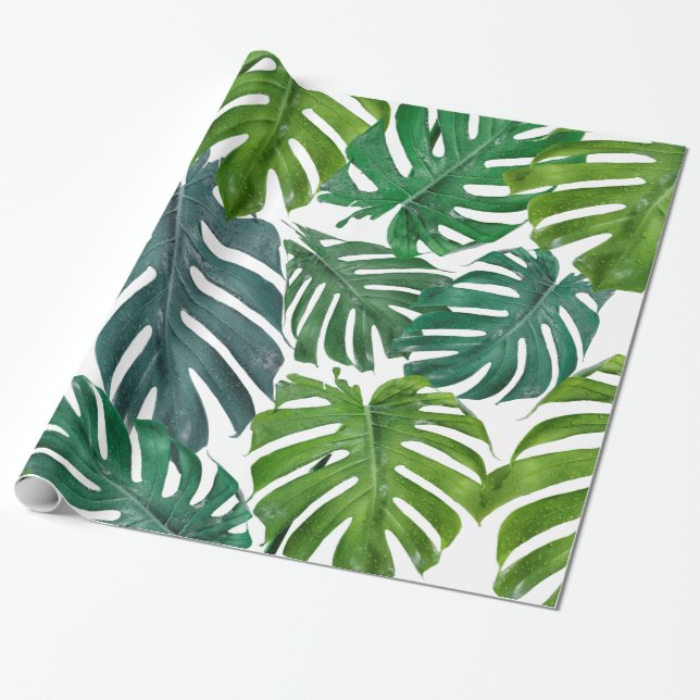 Papel De Regalo Hojas verdes tropicales de la palma de Monstera (Desenrollado)
