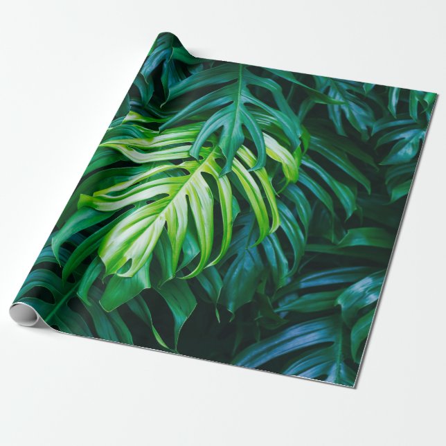 Papel De Regalo Hojas verdes tropicales sobre fondo oscuro, natura (Desenrollado)