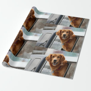 Papel De Regalo Hola