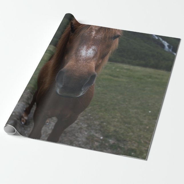 PAPEL DE REGALO HOLA SOY UN CABALLO (Desenrollado)