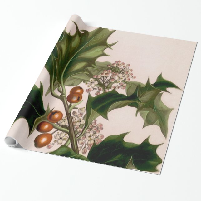 Papel De Regalo holly berries, navidades (Desenrollado)
