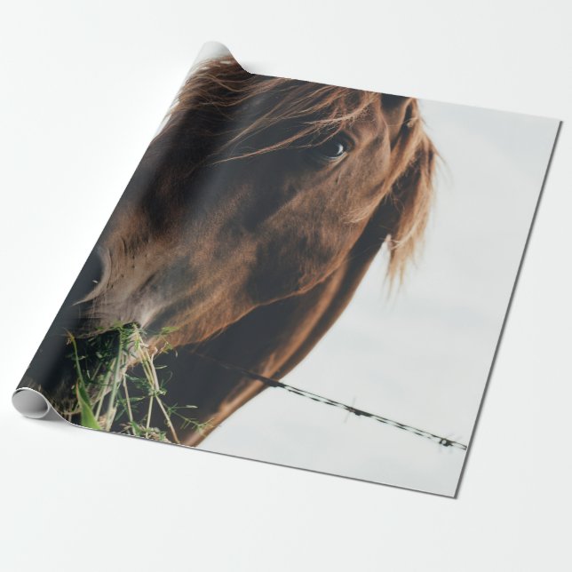 PAPEL DE REGALO HORSE CHEWING GRASS (Desenrollado)