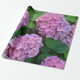 Papel De Regalo Hortensia hidrangea bush rosa