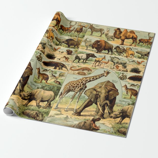 Papel De Regalo Huella animal de cosecha virgen Vida silvestre afr (Desenrollado)