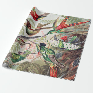 Papel De Regalo Hummingbird, Trochilidae Kolibris por Ernst Haecke