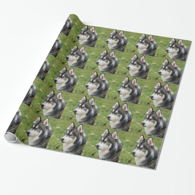 Papel De Regalo Husky (Desenrollado)