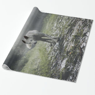 Papel De Regalo Husky Siberiano Blanco