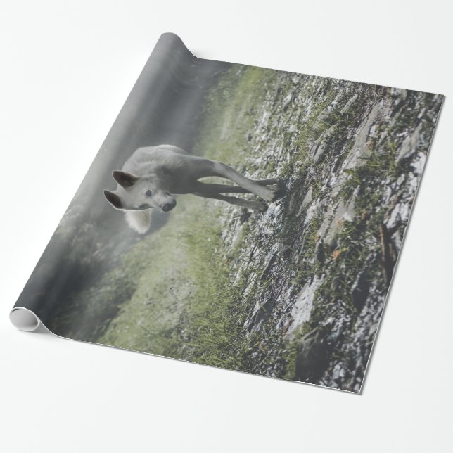 Papel De Regalo Husky Siberiano Blanco (Desenrollado)