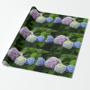 Papel De Regalo Hydrangeas