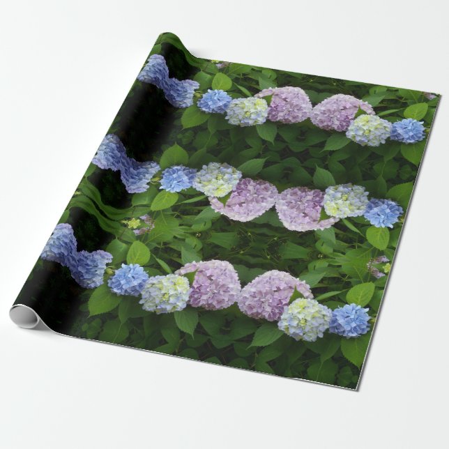 Papel De Regalo Hydrangeas (Desenrollado)