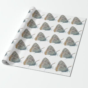Papel De Regalo Ilex Hairstreak Butterfly Satyrium ilicis