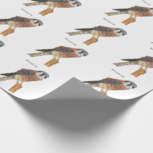 Papel De Regalo Ilustracion americano de aves de Kestrel (Esquina)