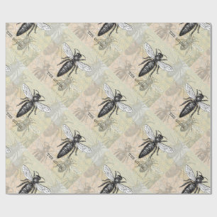 Papel De Regalo Ilustración antigua de insecto bug abeja reina
