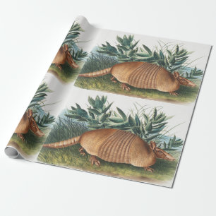 Papel De Regalo Ilustracion Armadillo (Dasypus Peba) de nueve band