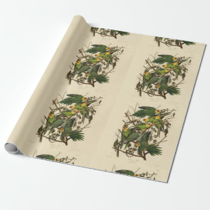 Papel De Regalo Ilustracion Audubon Carolina Parrot Bird