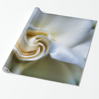 Papel De Regalo Ilustracion blanco del Gardenia