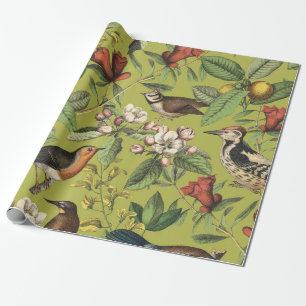Papel De Regalo Ilustración Botánica del Jardín de Aves Antiguas