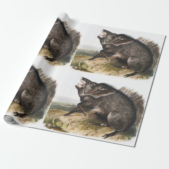 Papel De Regalo Ilustracion Collared Peccary Dycoteles torquatus (Desenrollado)