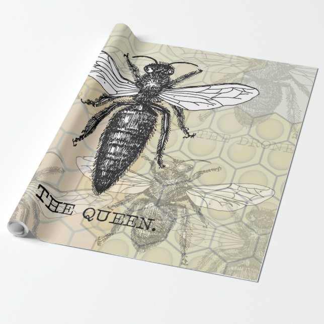 Papel De Regalo Ilustracion de antigüedades de insectos de Queen B (Desenrollado)