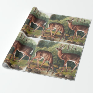 Papel De Regalo Ilustracion de Cervus Virginianus