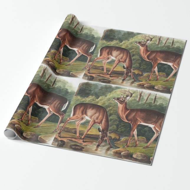 Papel De Regalo Ilustracion de Cervus Virginianus (Desenrollado)